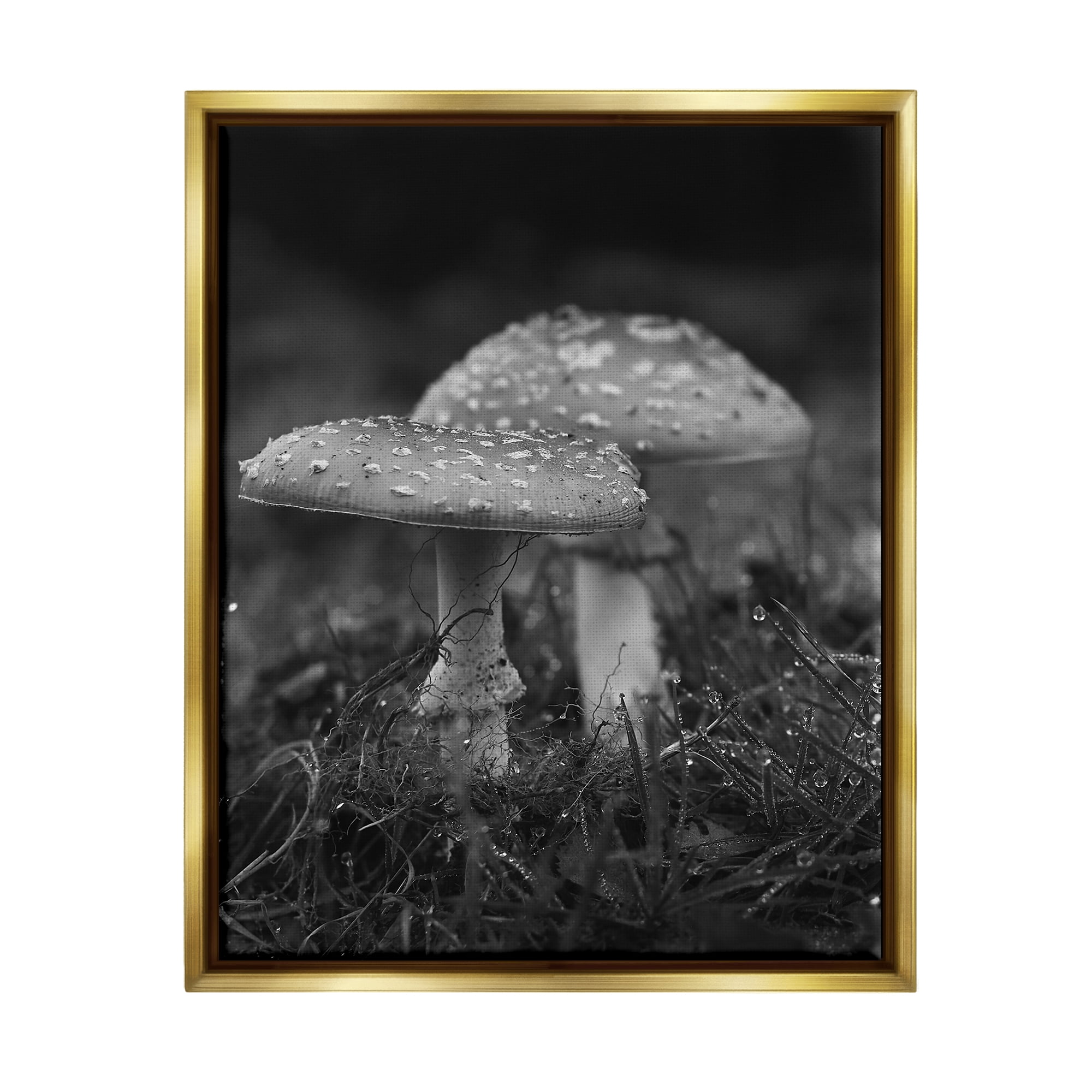 Stupell Industries Grey Mushroom Photography Botanical & Floral Photography Gold Floater Framed Canvas Art Print Wall Art, 25 x 31