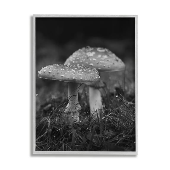 Stupell Industries Grey Mushroom Photography Botanical & Floral Photography Gray Framed Art Print Wall Art, 24 x 30