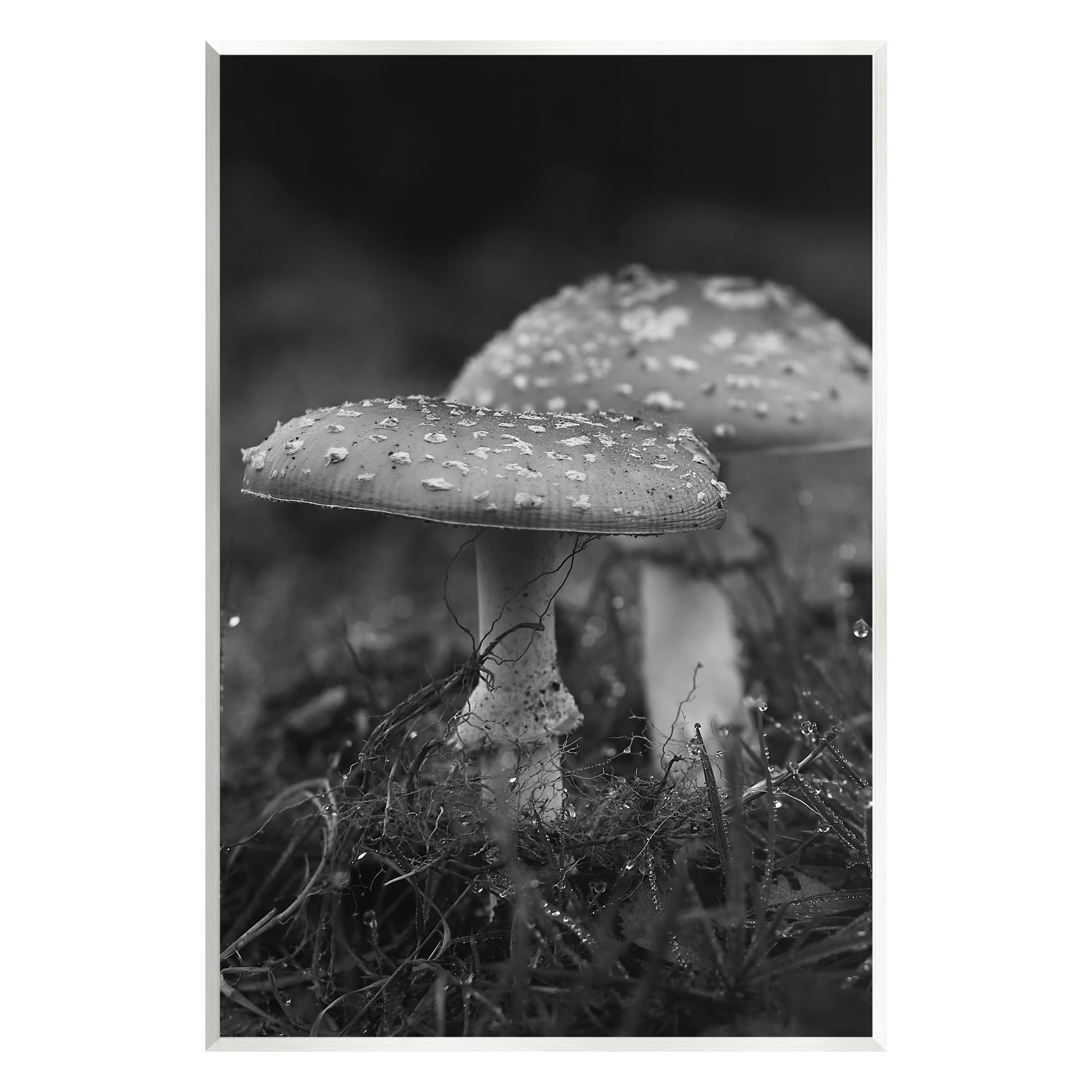 Stupell Industries Grey Mushroom Photography Botanical & Floral Photography Unframed Art Print Wall Art, 13 x 19