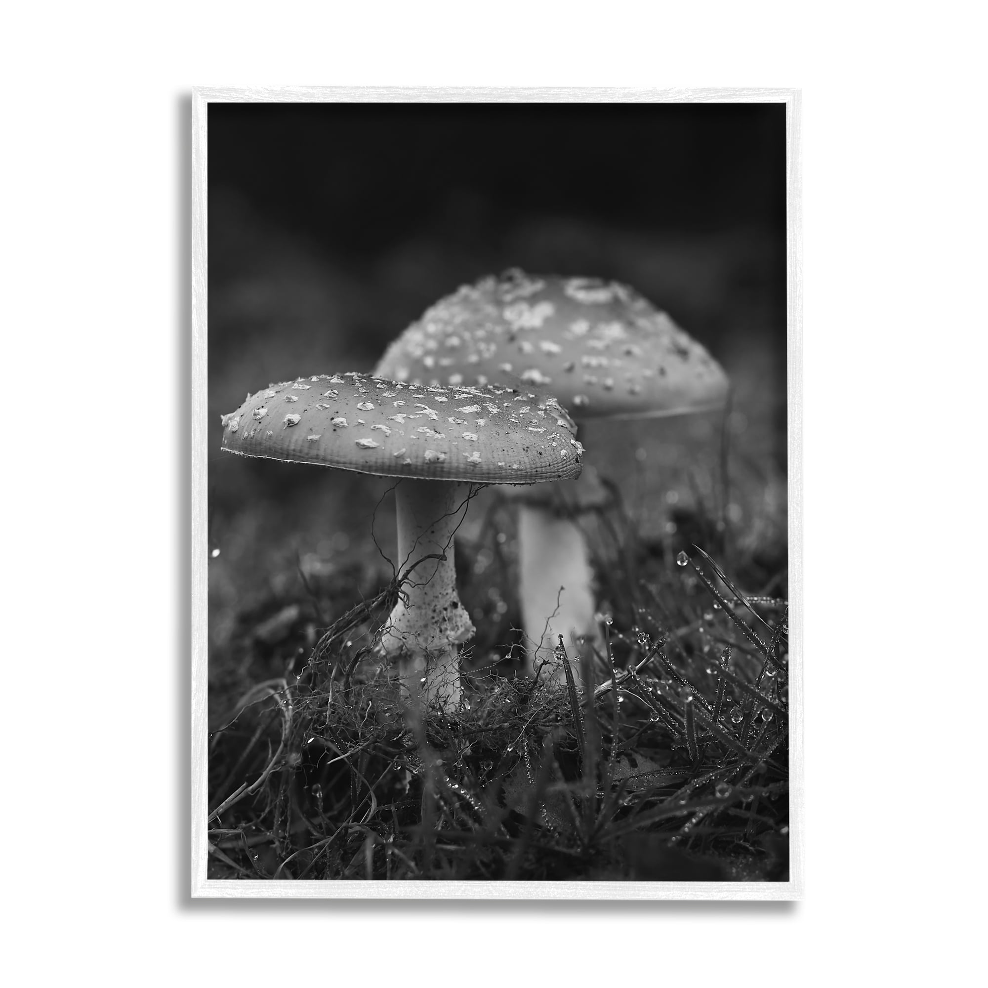 Stupell Industries Grey Mushroom Photography Botanical & Floral Photography White Framed Art Print Wall Art, 16 x 20