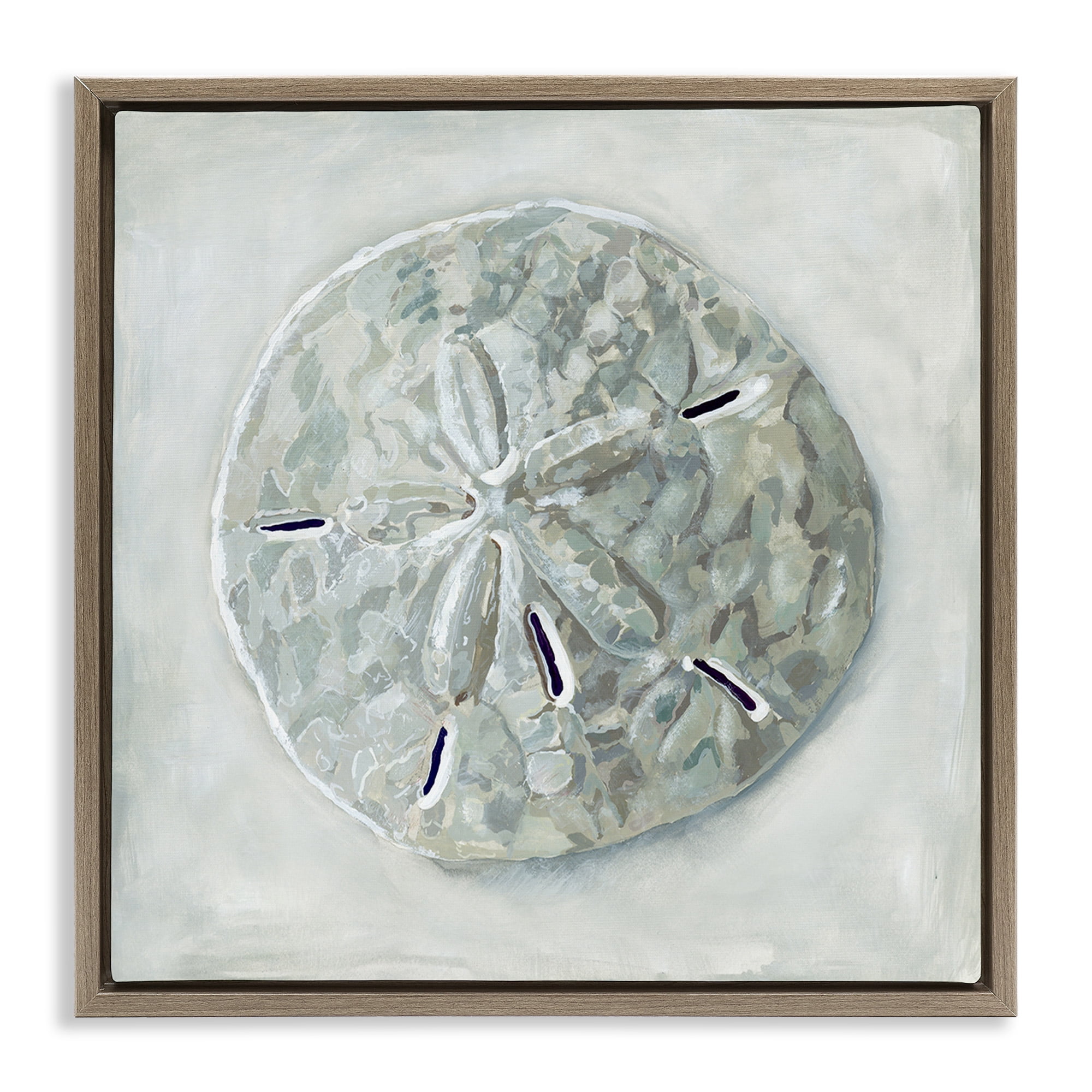 Stupell Industries Grey Sand Dollar Seashell Nature Painting Brown Floater Framed Canvas Art Print Wall Art, 18 x 18