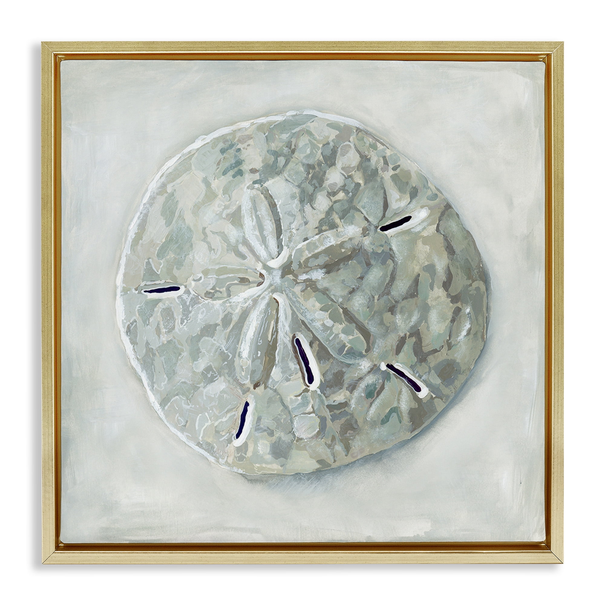 Stupell Industries Grey Sand Dollar Seashell Nature Painting Gold Floater Framed Canvas Art Print Wall Art, 18 x 18
