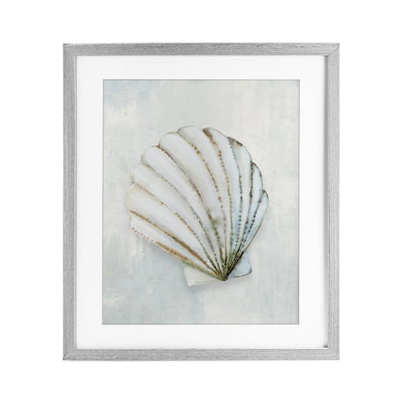Stupell Industries Grey Seashell Serenity Gray Framed Print Under Glass design by Hannah Dawson, 16 x 13