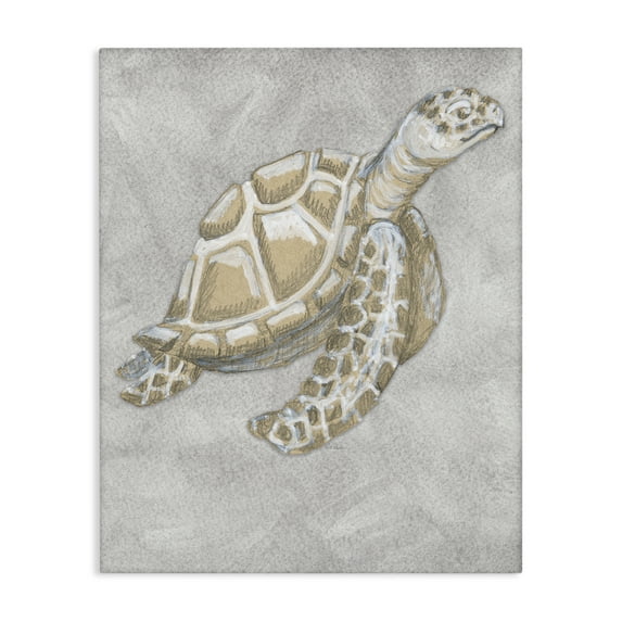 Stupell Industries Grey Turtle Drawing Canvas Wall Art design by Patti Bishop, 40 x 30