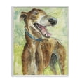 thumbnail image 1 of Stupell Industries Traditional Greyhound Smile Watercolor White Framed Giclee Art, 24 x 30, by Patti Mann, 1 of 8