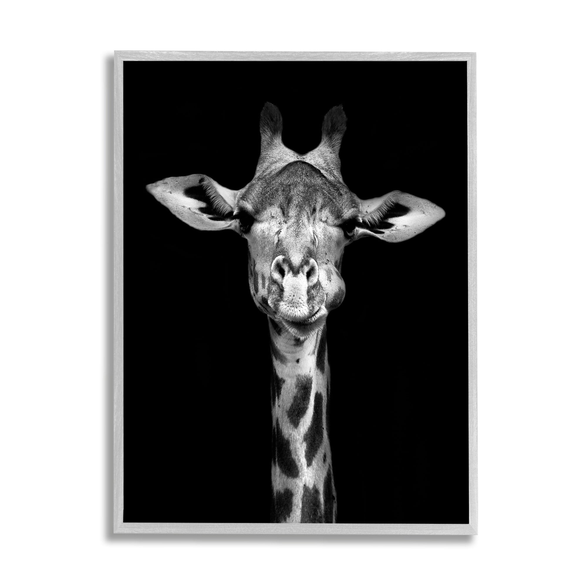 Stupell Industries Greyscale Zebra Stripes Detailed Photography Portrait , 11 x 14, Design by Incado