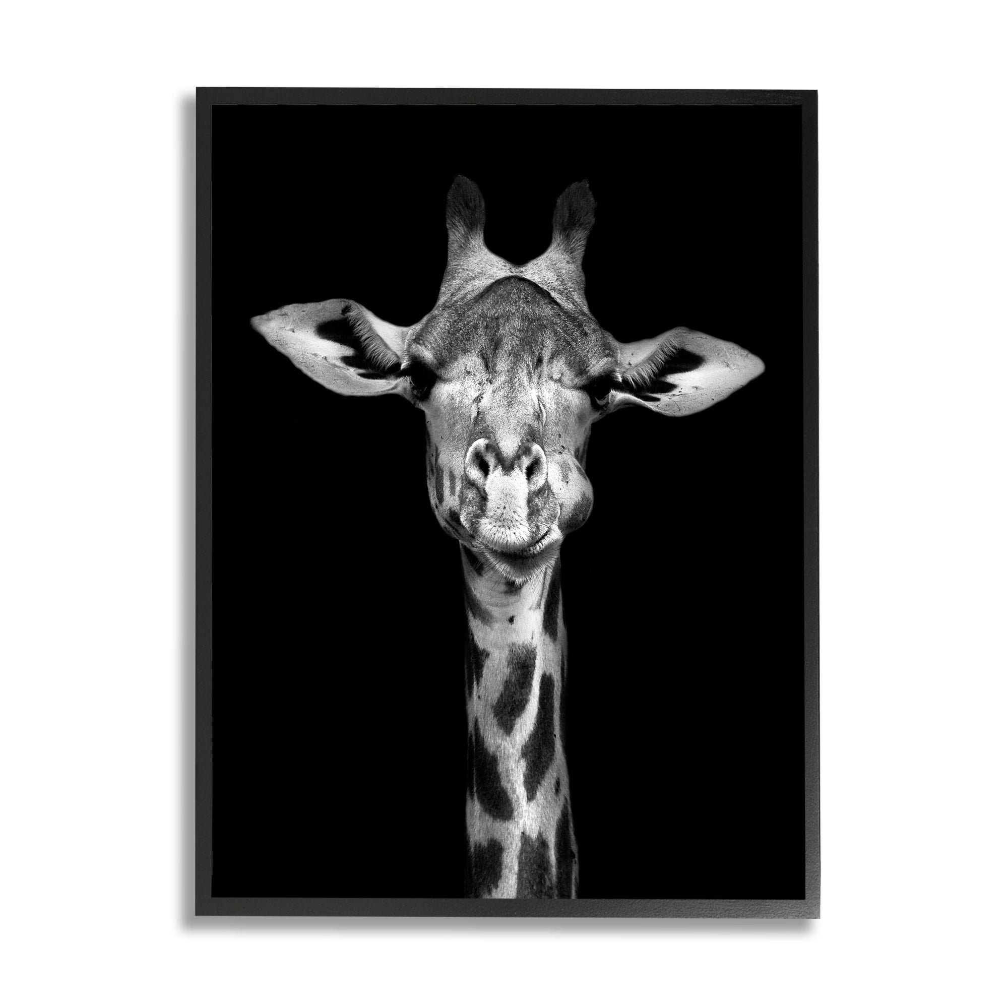 Stupell Industries Greyscale Zebra Stripes Detailed Photography Portrait , 11 x 14, Design by Incado