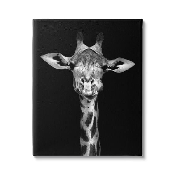 Stupell Industries Greyscale Zebra Stripes Detailed Photography Portrait , 16 x 20, Design by Incado