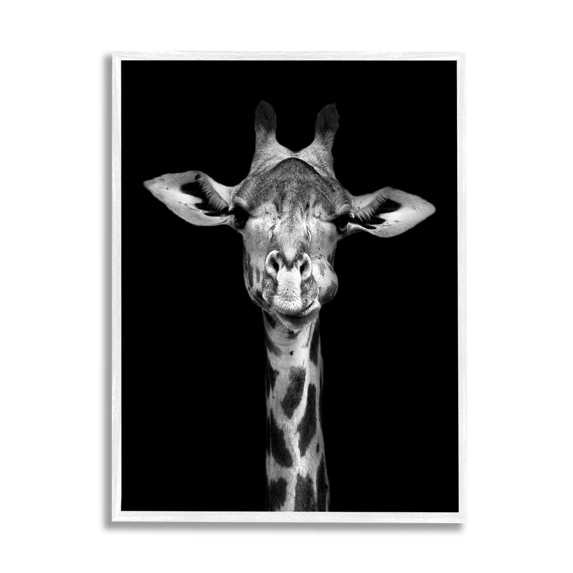 Stupell Industries Greyscale Zebra Stripes Detailed Photography Portrait , 24 x 30, Design by Incado