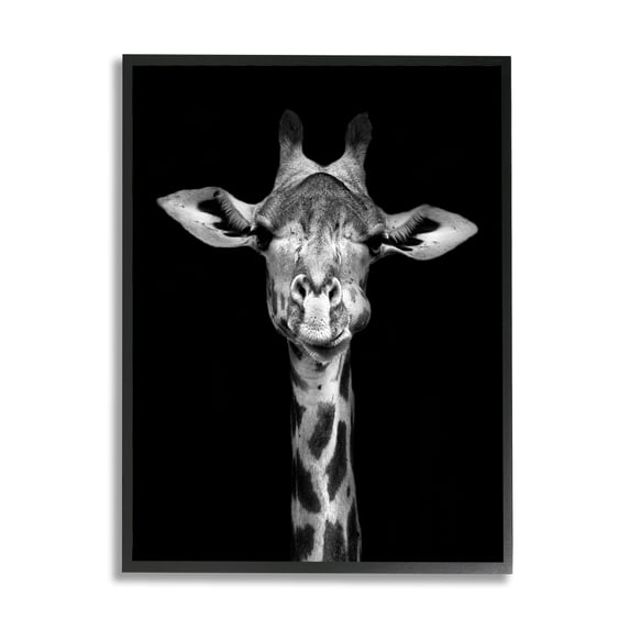 Stupell Industries Greyscale Zebra Stripes Detailed Photography Portrait , 24 x 30, Design by Incado