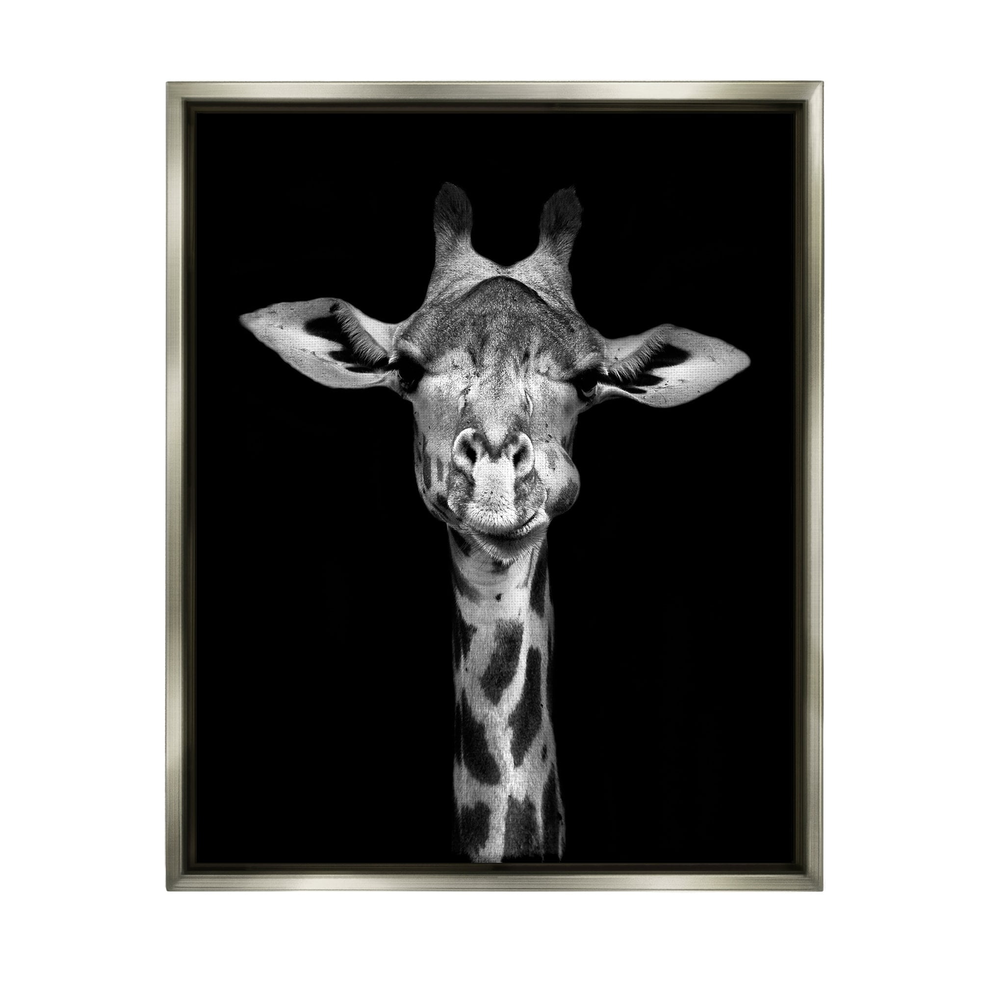 Stupell Industries Greyscale Zebra Stripes Detailed Photography Portrait Luster Gray Framed Floating Canvas Wall Art, 24x30, by Incado