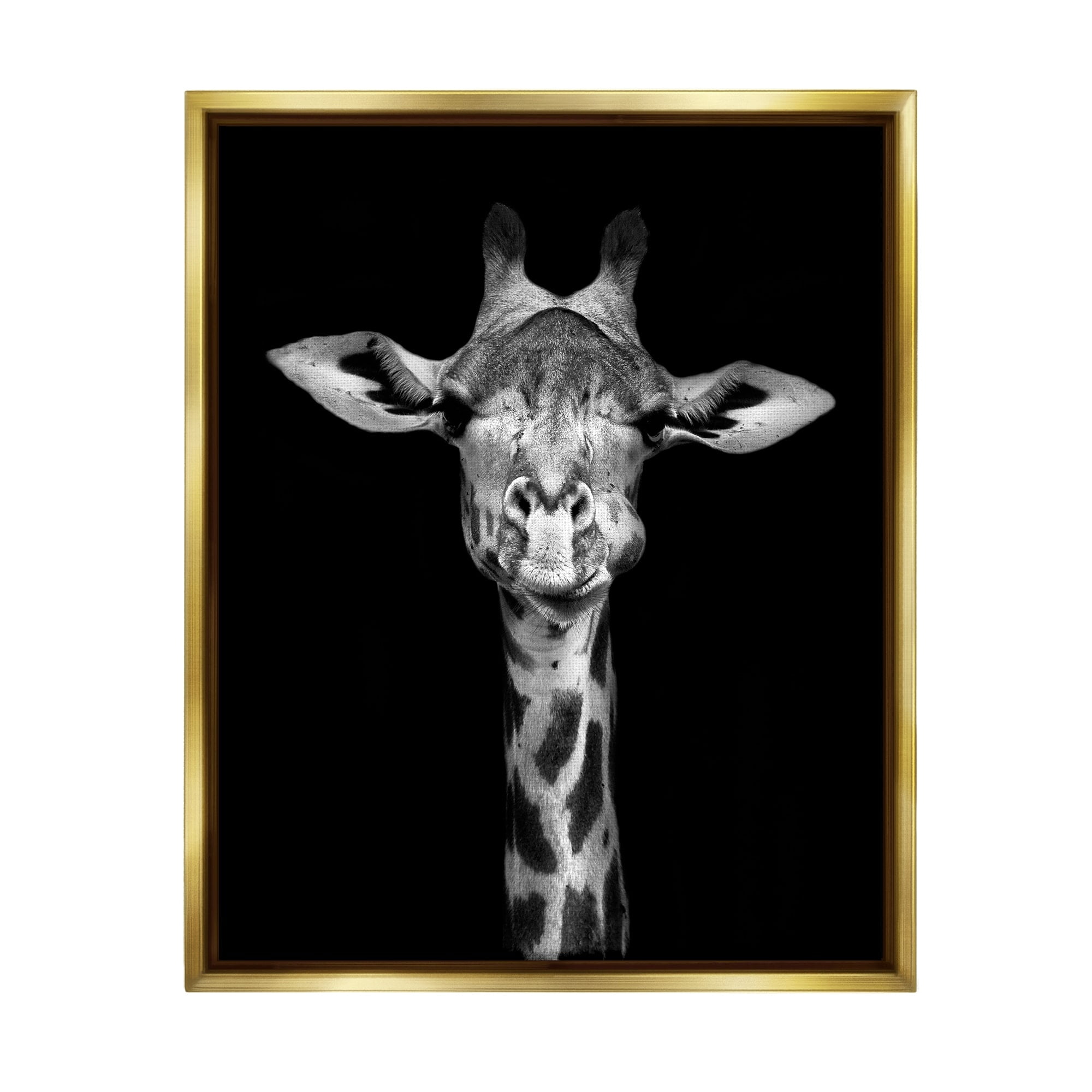Stupell Industries Greyscale Zebra Stripes Detailed Photography Portrait Metallic Gold Framed Floating Canvas Wall Art, 16x20, by Incado