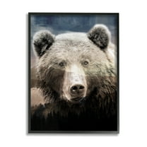 Stupell Industries Grizzly Bear Face Portrait Animals & Insects Painting Black Framed Art Print Wall Art, 11 x 14