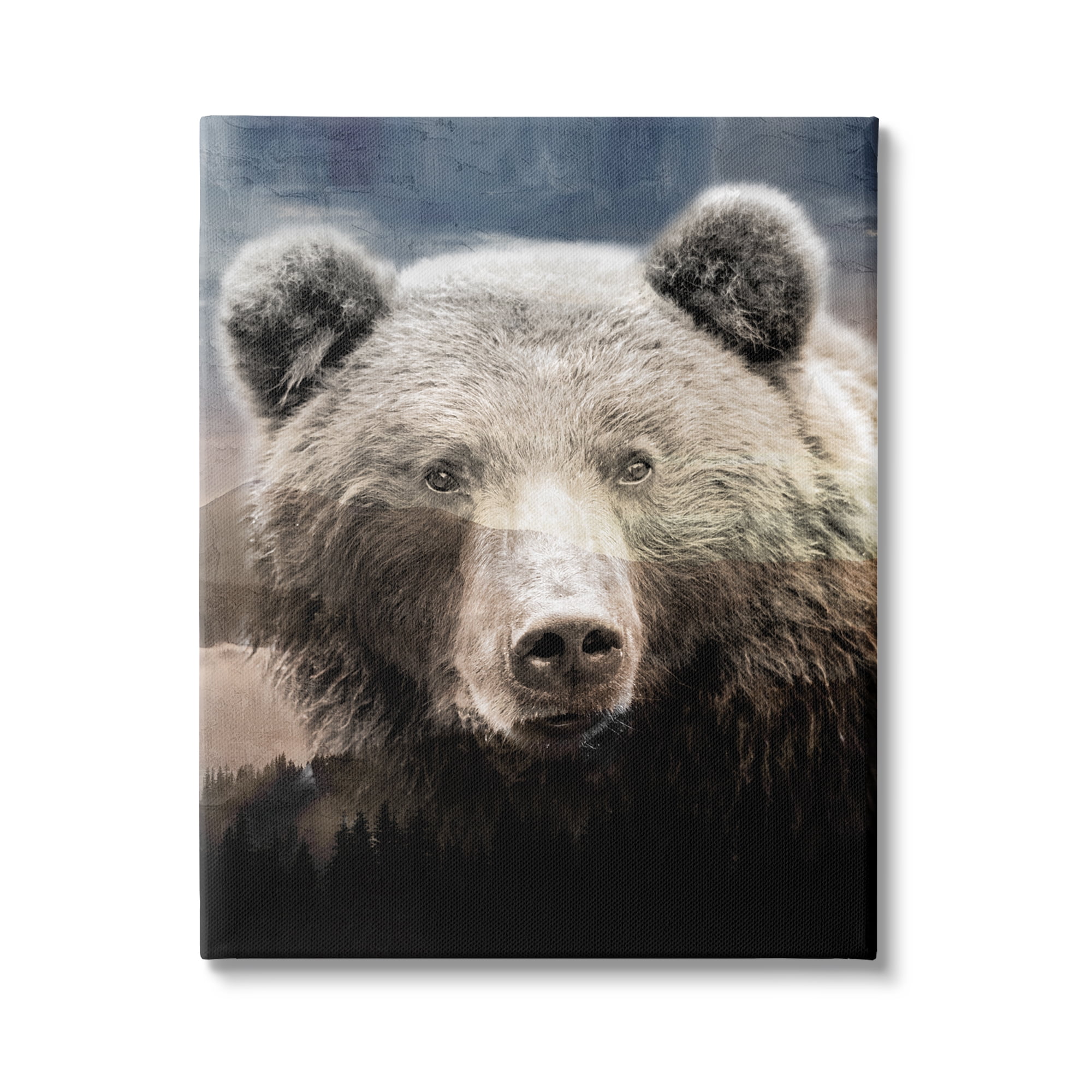 Stupell Industries Grizzly Bear Face Portrait Animals & Insects Painting Gallery Wrapped Canvas Art Print Wall Art, 30 x 40