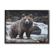 Stupell Industries Grizzly Bear by Waterfall Animals & Insects Painting Black Framed Art Print Wall Art, 14 x 11