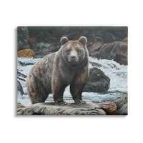 Stupell Industries Grizzly Bear by Waterfall Animals & Insects Painting Gallery Wrapped Canvas Print Wall Art, 20 x 16
