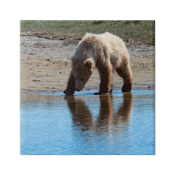 Stupell Industries Grizzly Cub in Stream Animals & Insects Photography Gallery Wrapped Canvas Print Wall Art, 17 x 17