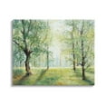 thumbnail image 1 of Stupell Industries Grounded Beauty Landscape Nature Painting Gallery Wrapped Canvas Print Wall Art, 20 x 16, 1 of 8