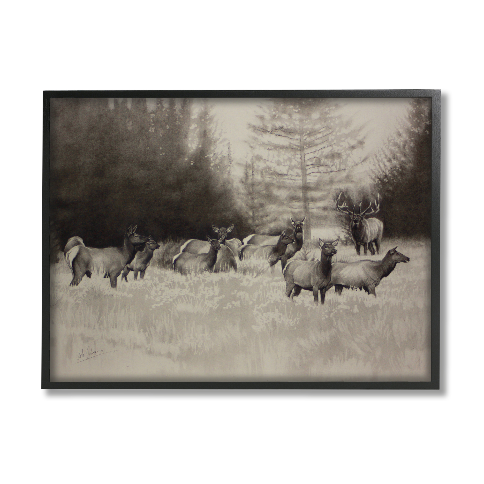 Stupell Industries Group of Woodland Dear Vintage Forest Meadow Landscape Animals & Insects Drawing Black Framed Art Print Wall Art, 11 x 14