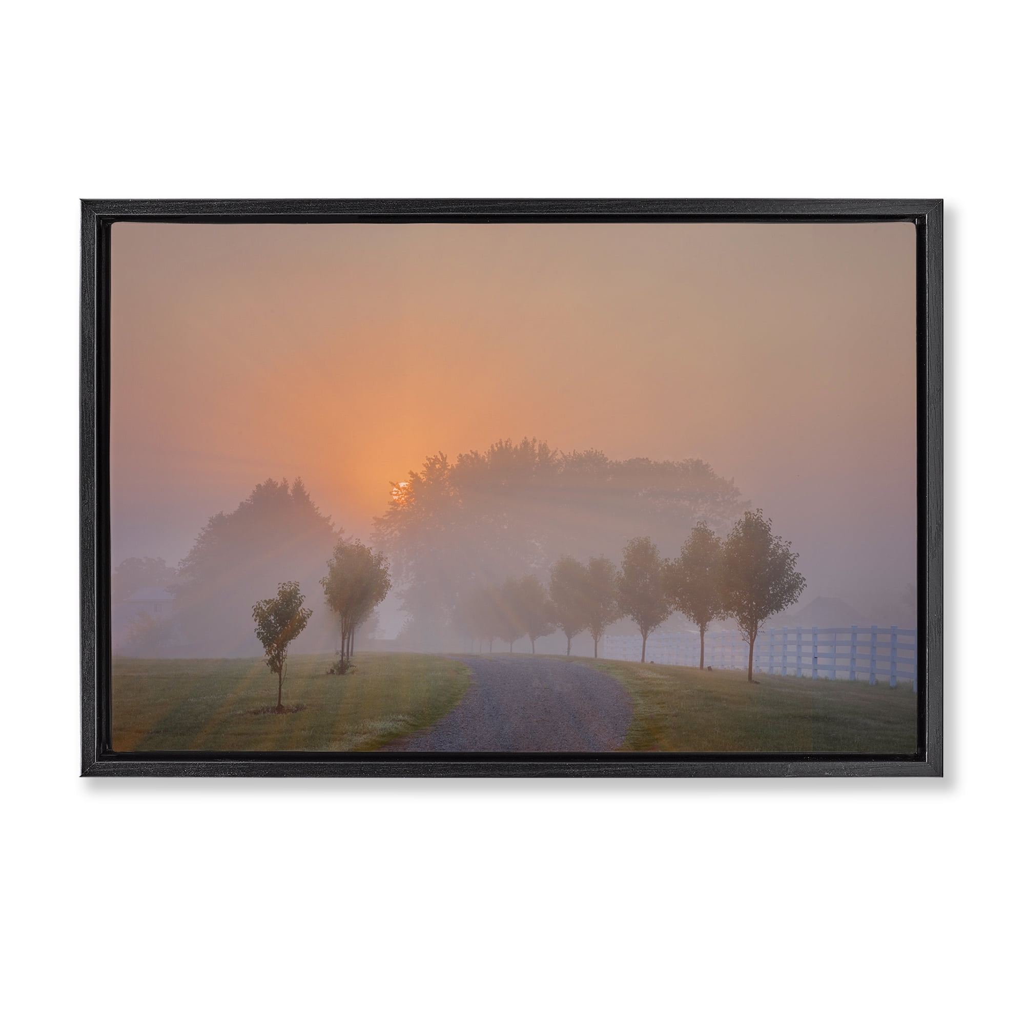 Stupell Industries Grove Path at Sunset Landscape & Nature Photography Black Floater Framed Canvas Art Print Wall Art, 31 x 21