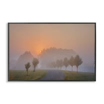 Stupell Industries Grove Path at Sunset Landscape & Nature Photography Black Framed Art Print Wall Art, 18 x 12