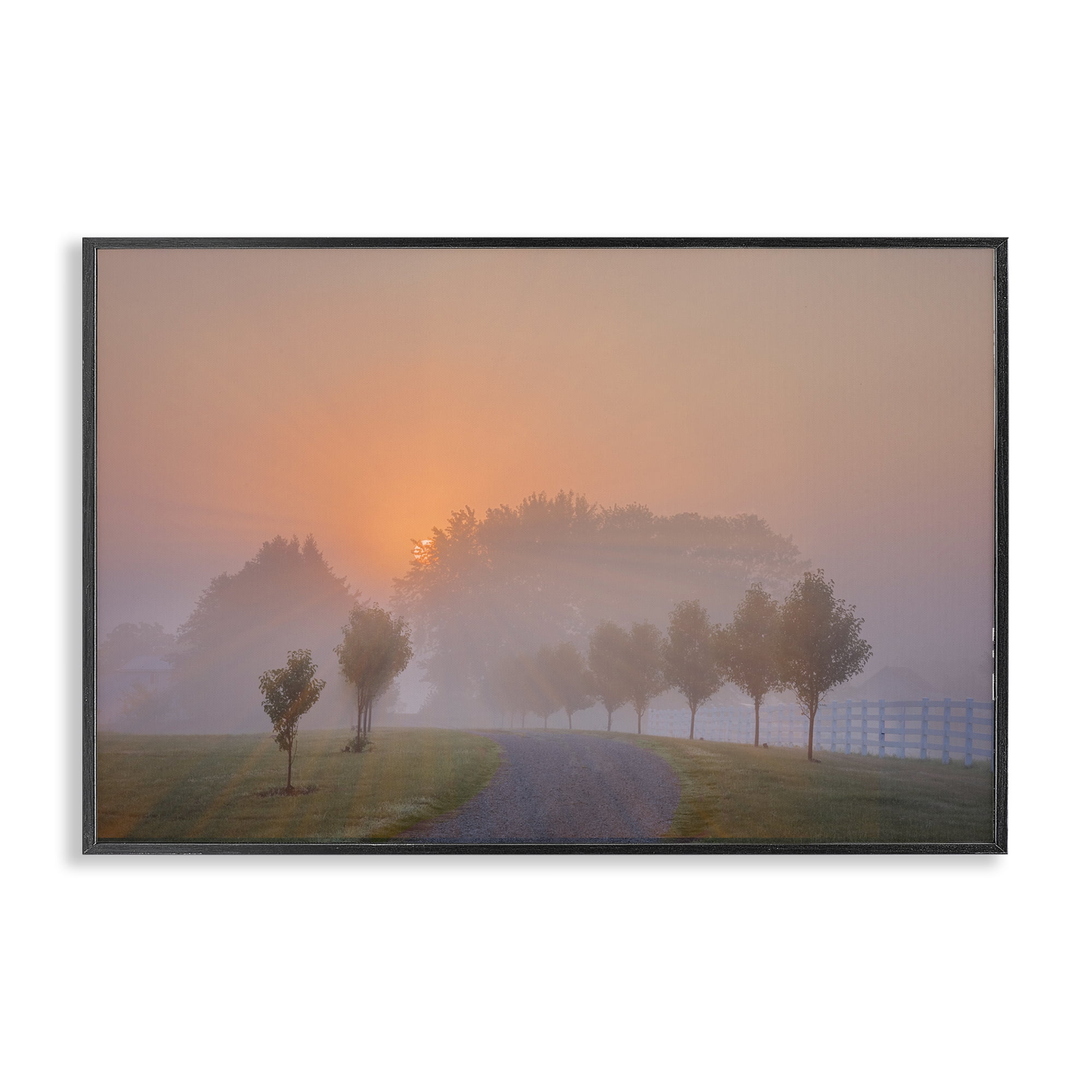 Stupell Industries Grove Path at Sunset Landscape & Nature Photography Black Framed Art Print Wall Art, 24 x 16