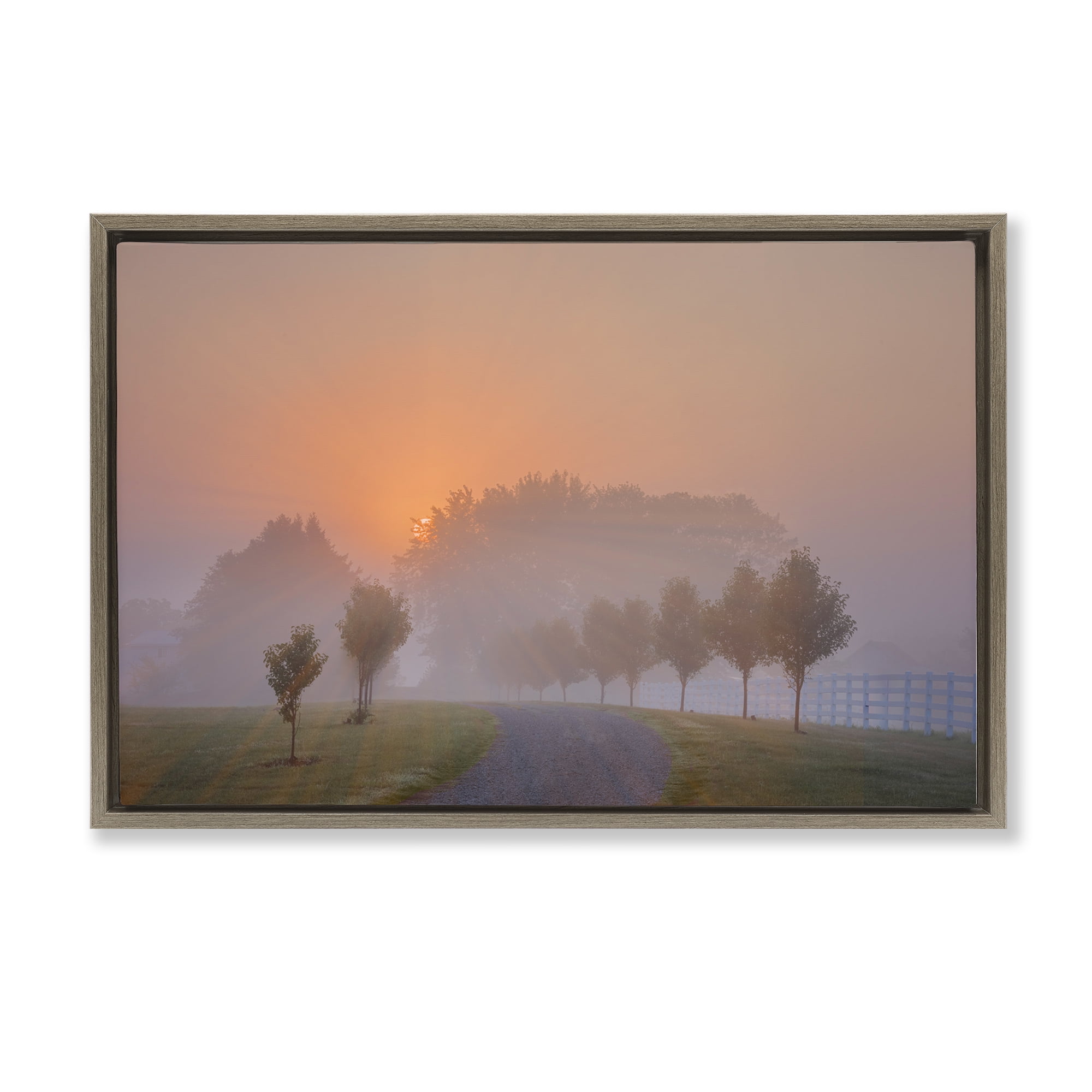 Stupell Industries Grove Path at Sunset Landscape & Nature Photography Brown Floater Framed Canvas Art Print Wall Art, 31 x 21