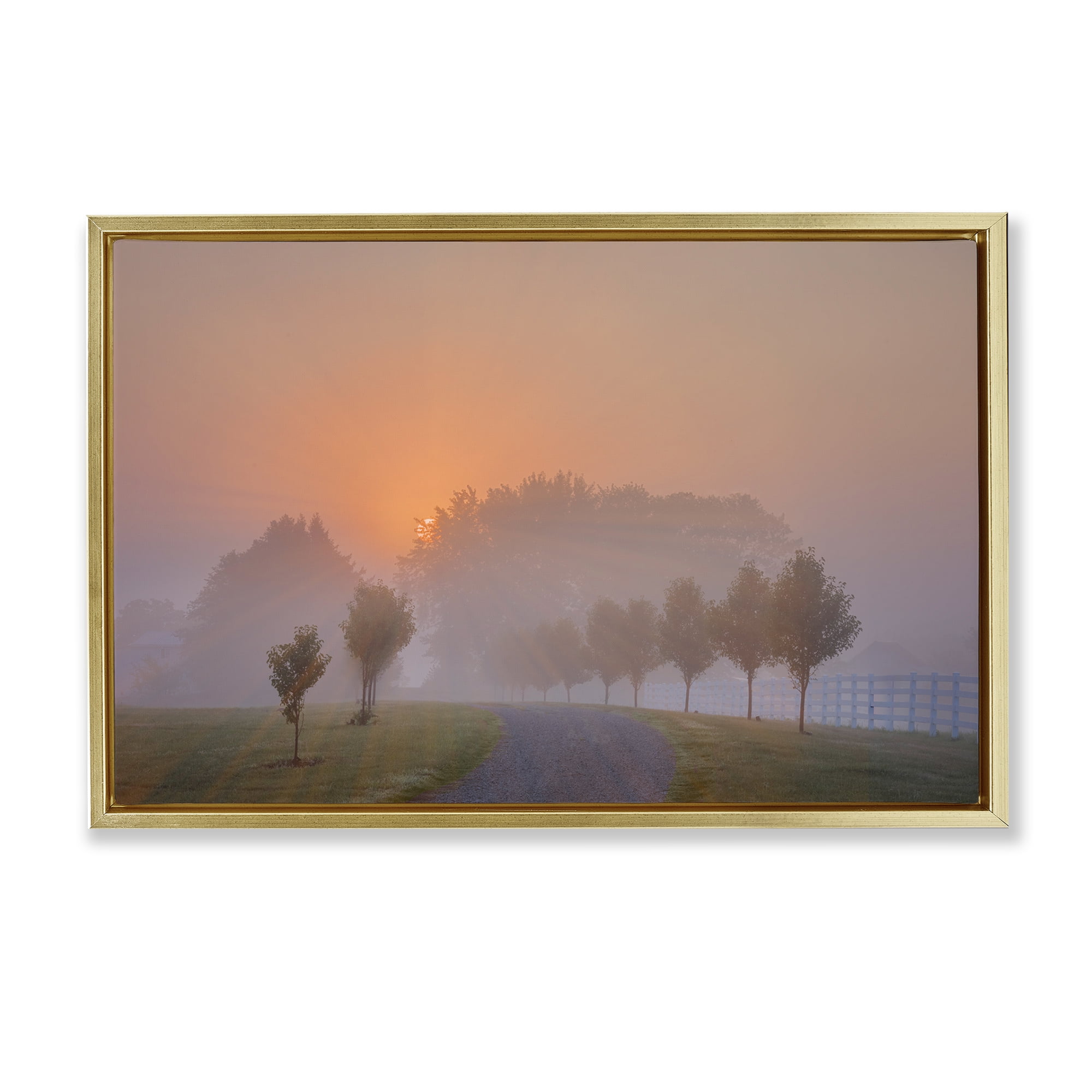 Stupell Industries Grove Path at Sunset Landscape & Nature Photography Gold Floater Framed Canvas Art Print Wall Art, 25 x 17