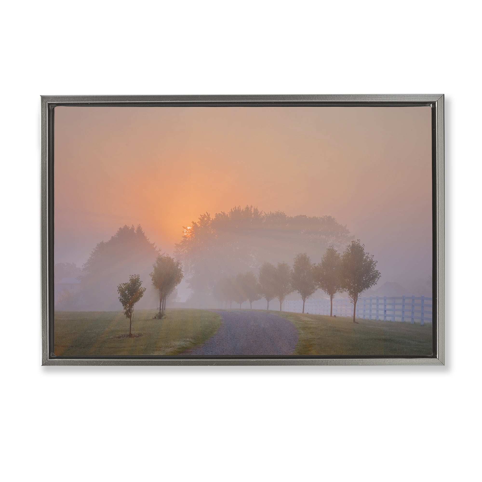 Stupell Industries Grove Path at Sunset Landscape & Nature Photography Gray Floater Framed Canvas Art Print Wall Art, 25 x 17
