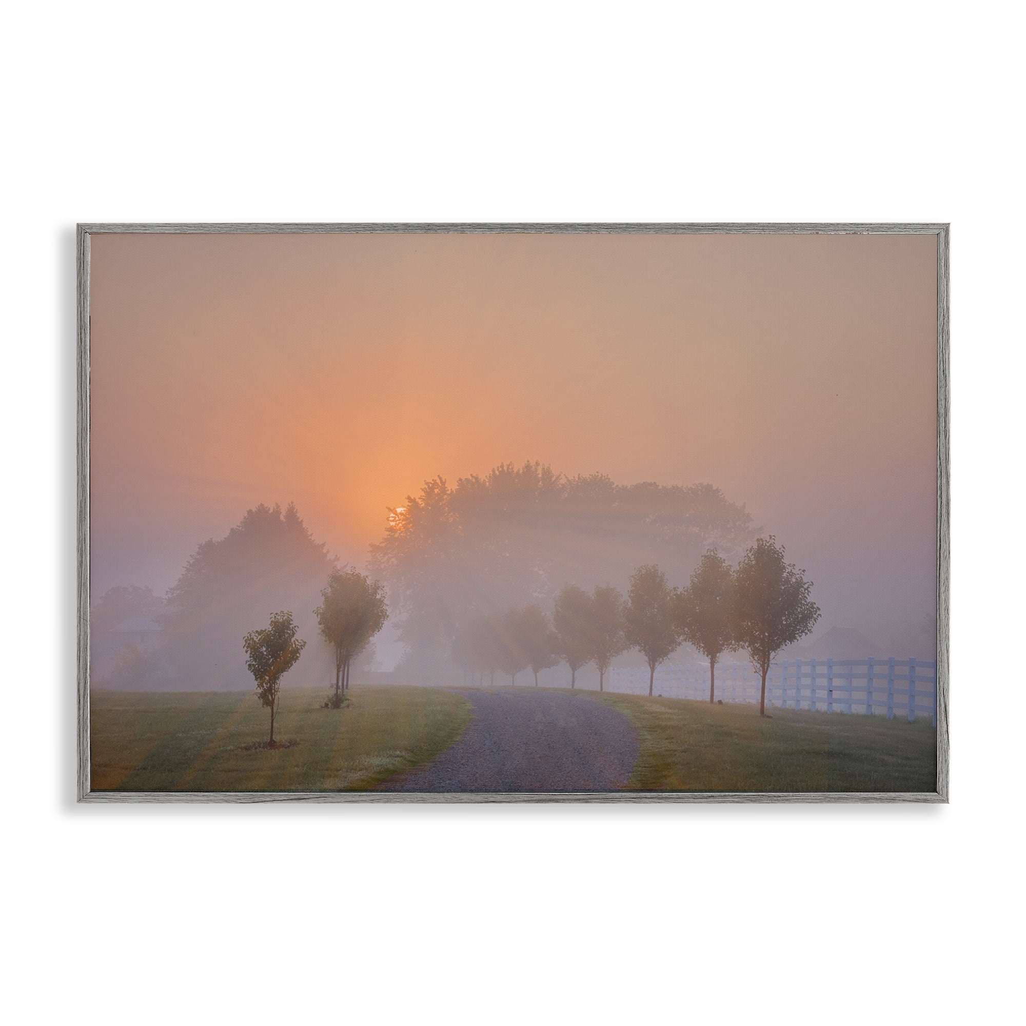 Stupell Industries Grove Path at Sunset Landscape & Nature Photography Gray Framed Art Print Wall Art, 18 x 12