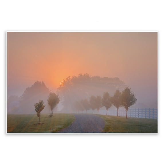 Stupell Industries Grove Path at Sunset Landscape & Nature Photography Unframed Art Print Wall Art, 15 x 10