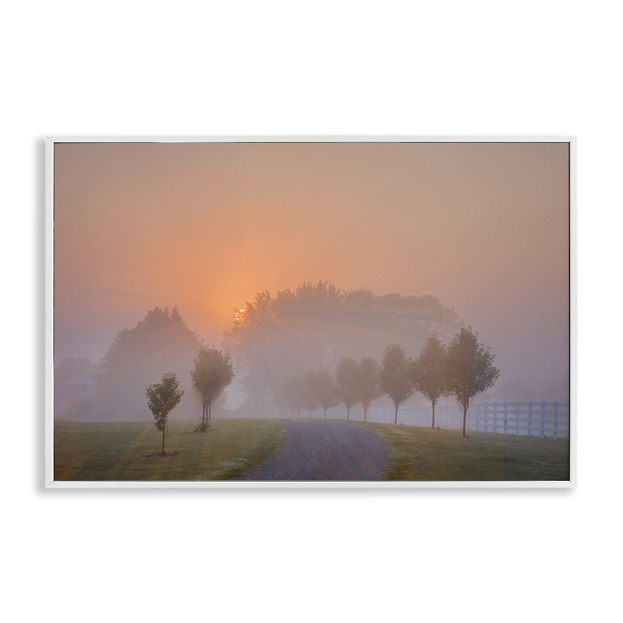 Stupell Industries Grove Path at Sunset Landscape & Nature Photography White Framed Art Print Wall Art, 24 x 16