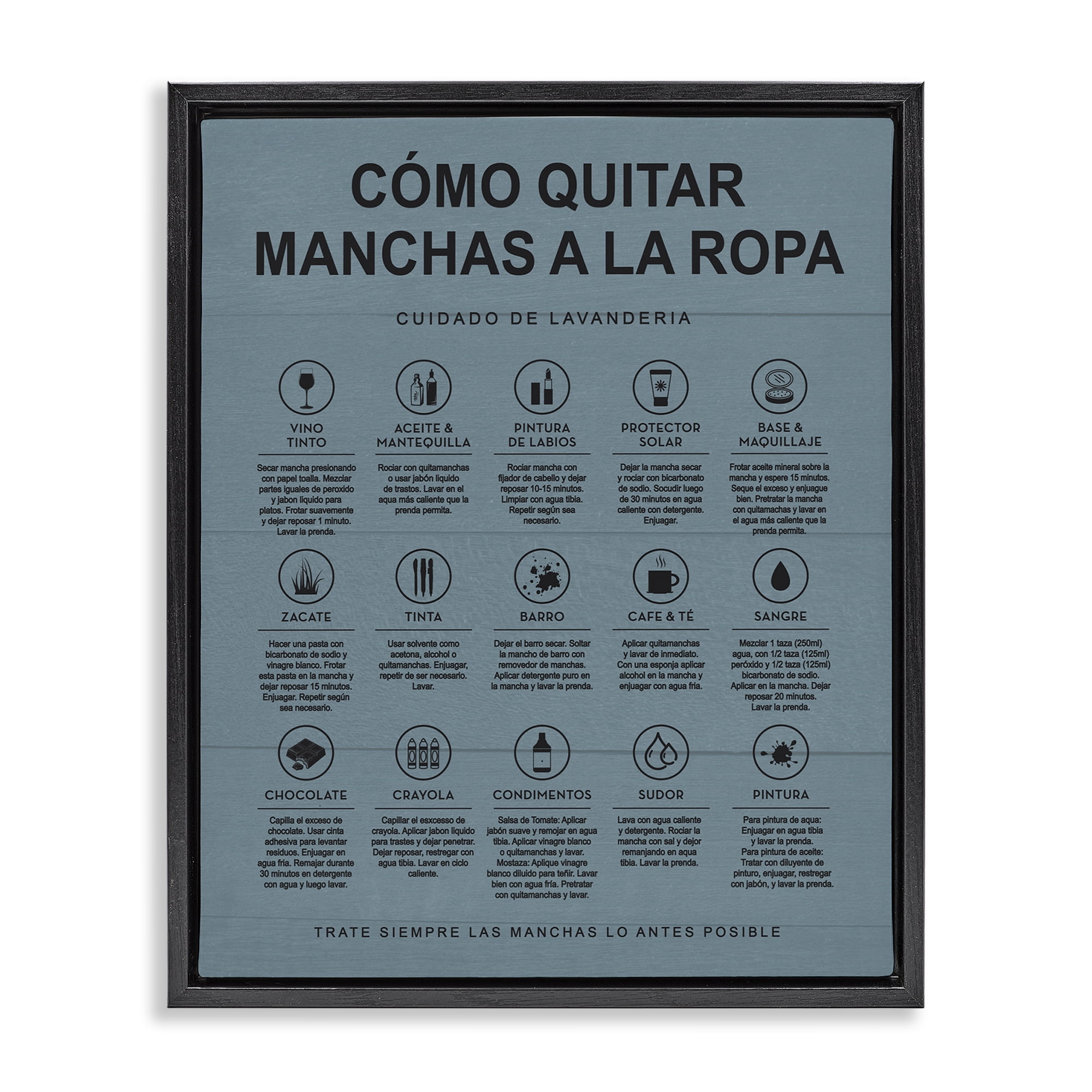 Stupell Industries Guía de Limpieza de Manchas, Azul Bath & Laundry Painting Black Floater Framed Art Print Wall Art, 17 x 21