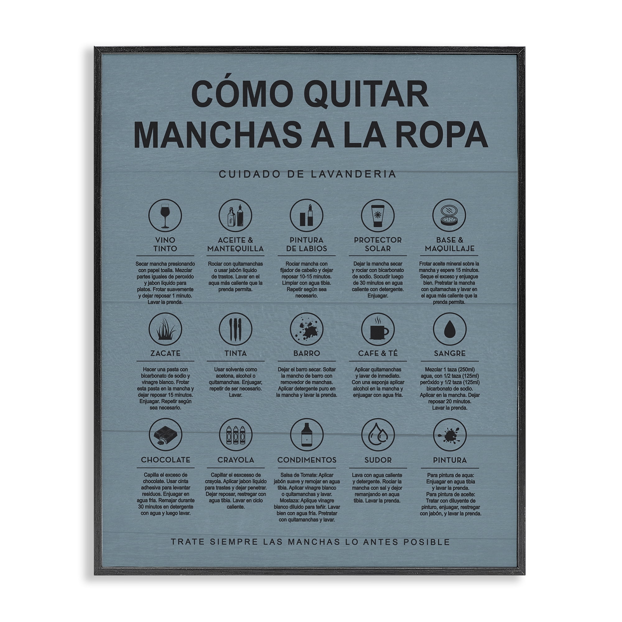 Stupell Industries Guía de Limpieza de Manchas, Azul Bath & Laundry Painting Black Framed Art Print Wall Art, 24 x 30