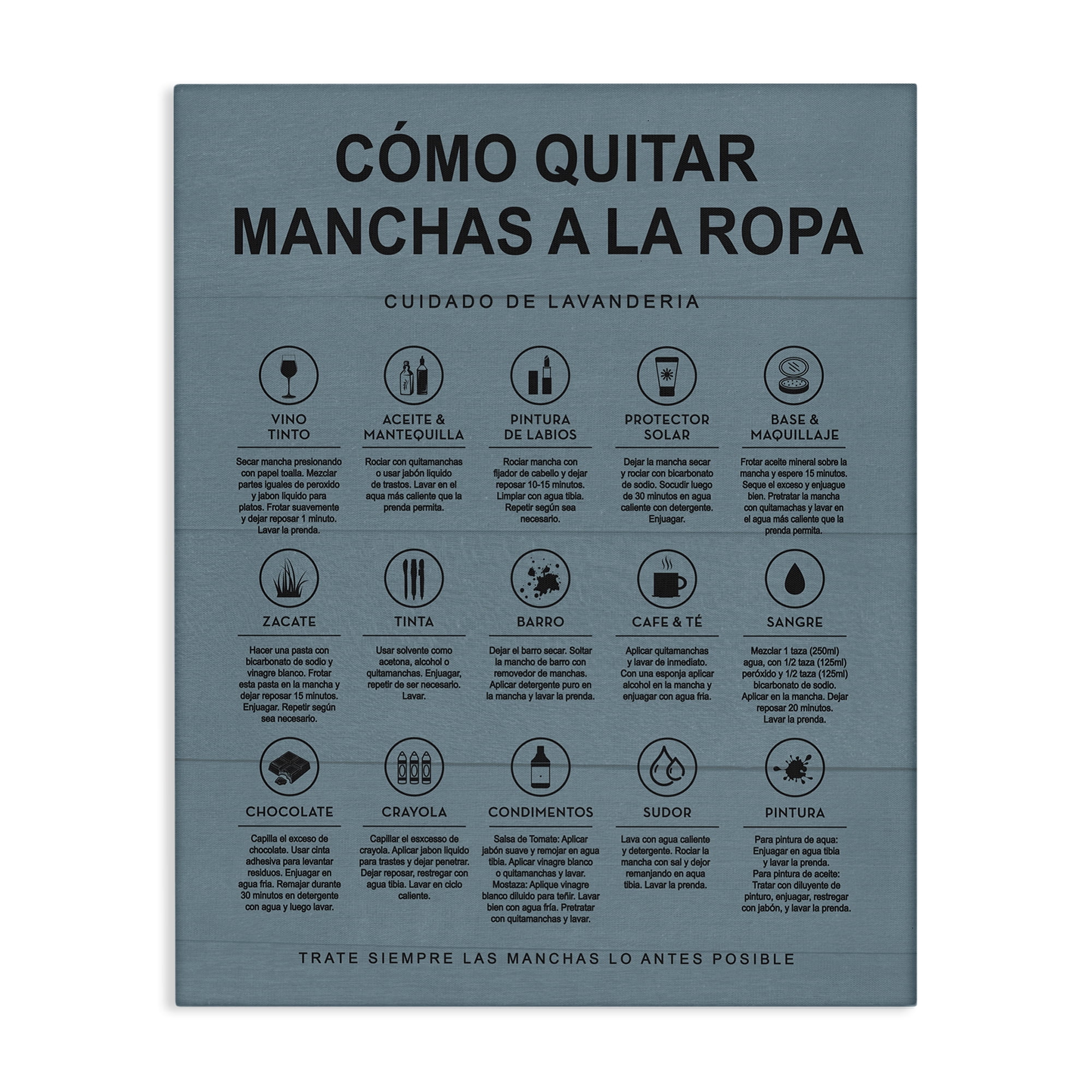 Stupell Industries Guía de Limpieza de Manchas, Azul Bath & Laundry Painting Wrapped Canvas Art Print Wall Art, 36 x 48