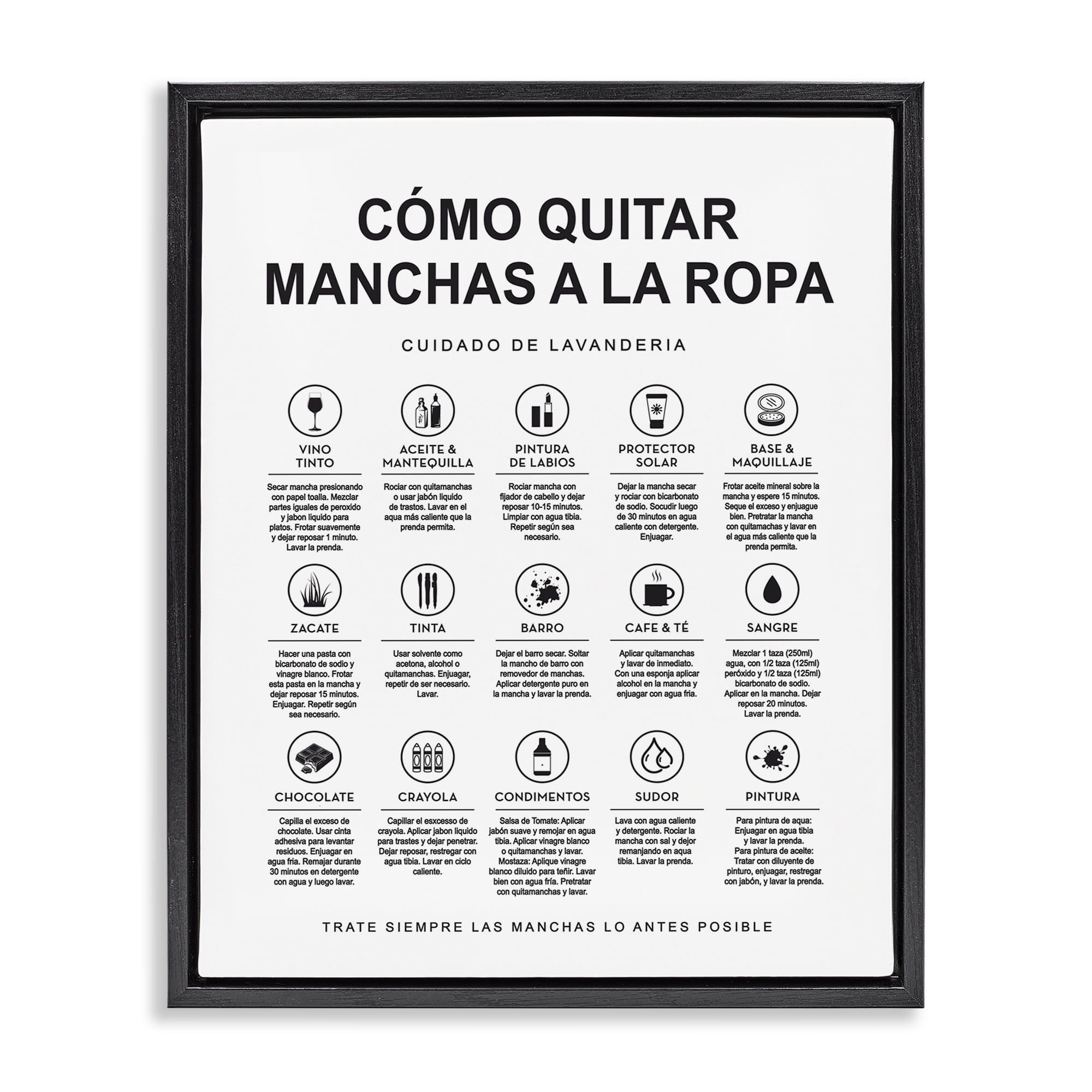 Stupell Industries Guía de Limpieza de Manchas Bath & Laundry Painting Black Floater Framed Art Print Wall Art, 17 x 21