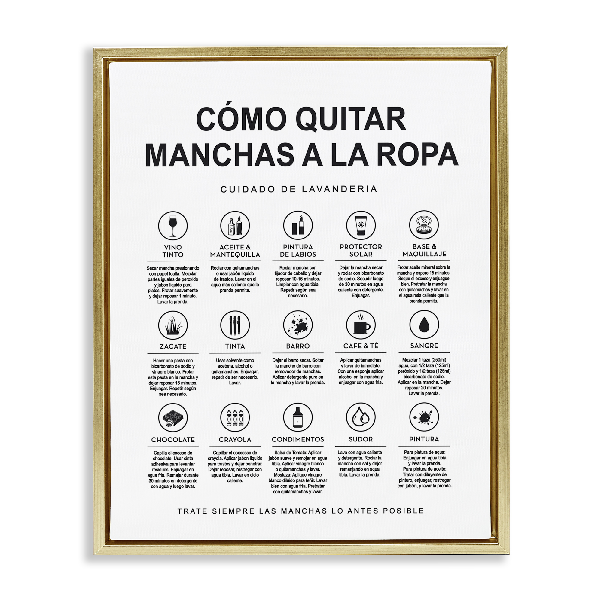 Stupell Industries Guía de Limpieza de Manchas Bath & Laundry Painting Gold Floater Framed Art Print Wall Art, 25 x 31