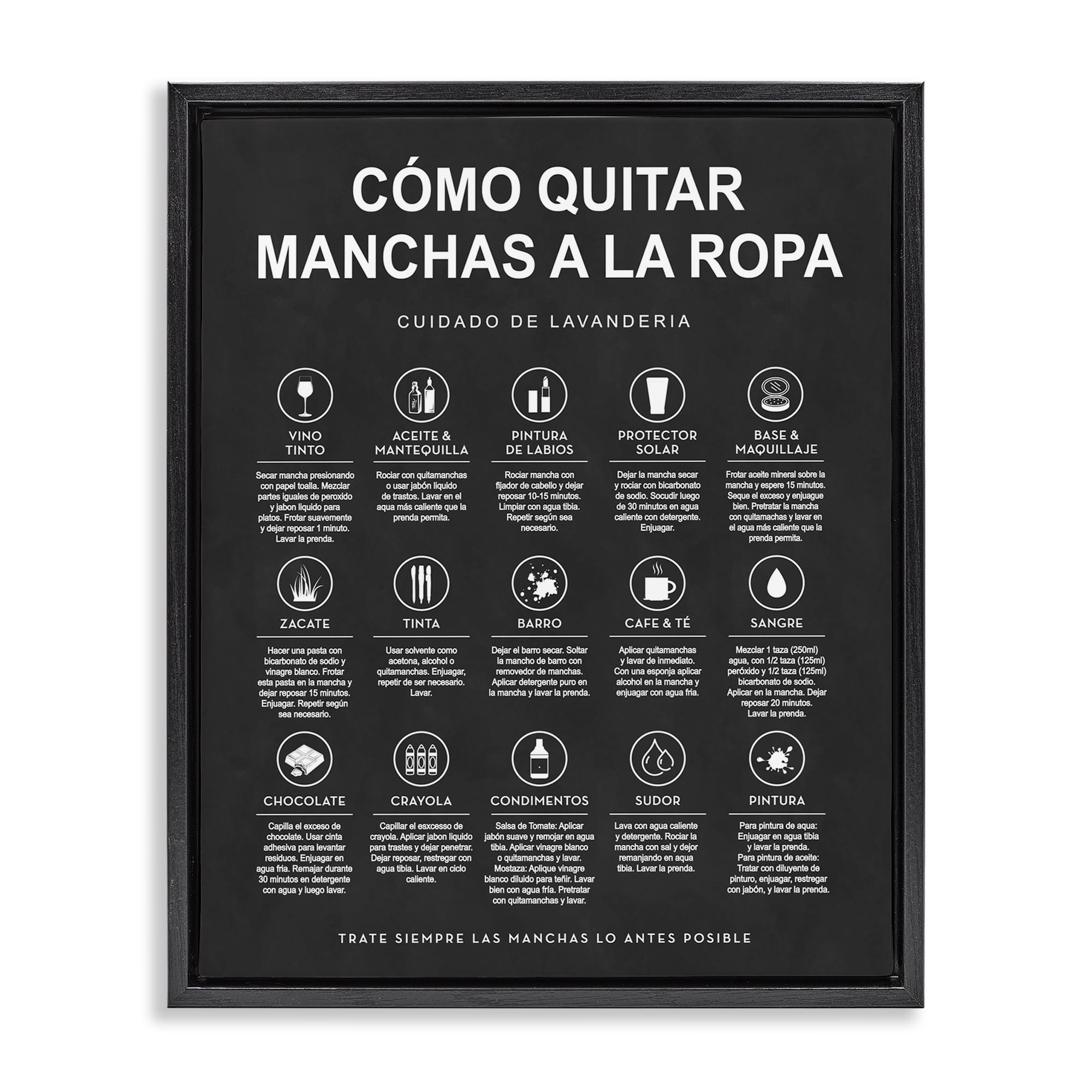 Stupell Industries Guía de Limpieza de Manchas, Negro Bath & Laundry Painting Black Floater Framed Art Print Wall Art, 25 x 31