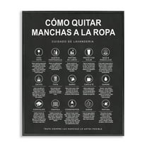 Stupell Industries Guía de Limpieza de Manchas, Negro Bath & Laundry Painting Black Framed Art Print Wall Art, 11 x 14