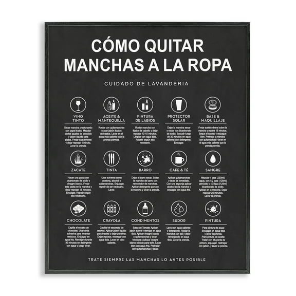 Stupell Industries Guía de Limpieza de Manchas, Negro Bath & Laundry Painting Black Framed Art Print Wall Art, 11 x 14