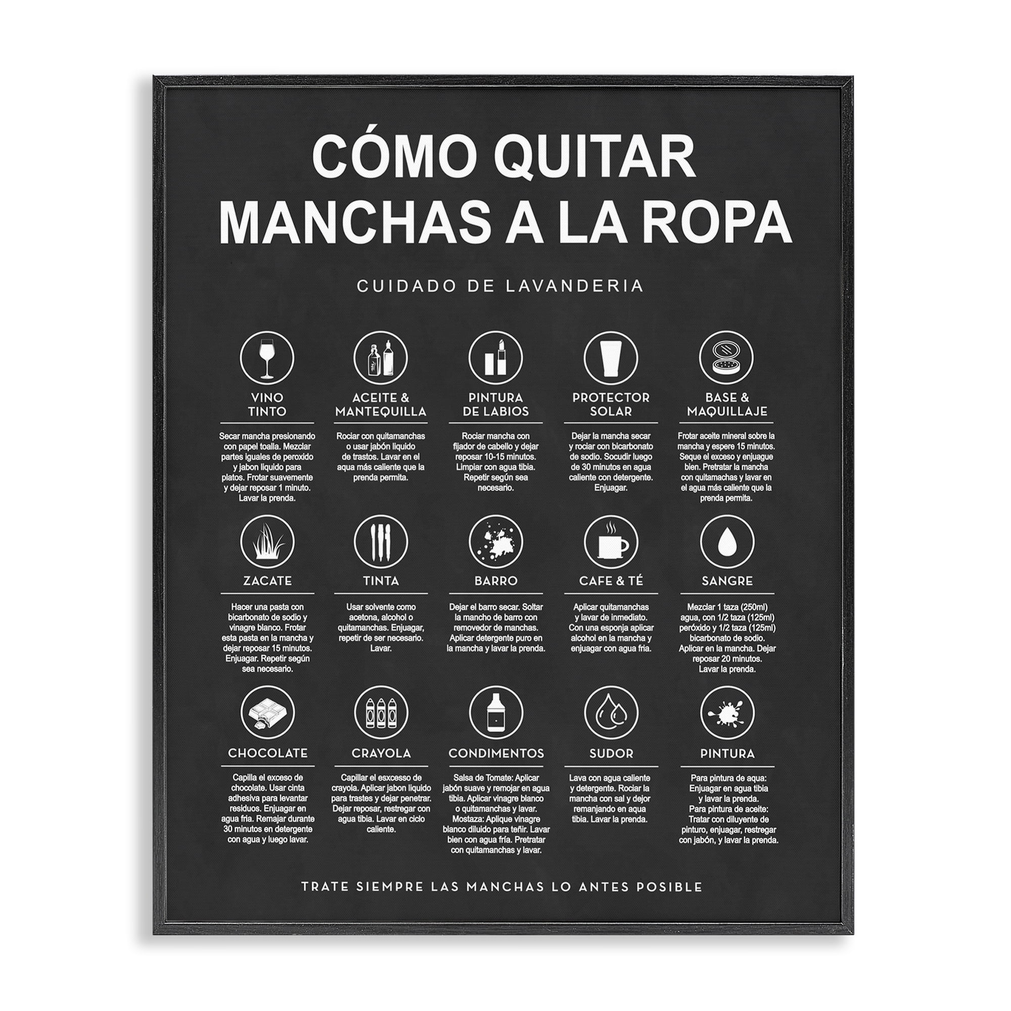 Stupell Industries Guía de Limpieza de Manchas, Negro Bath & Laundry Painting Black Framed Art Print Wall Art, 16 x 20