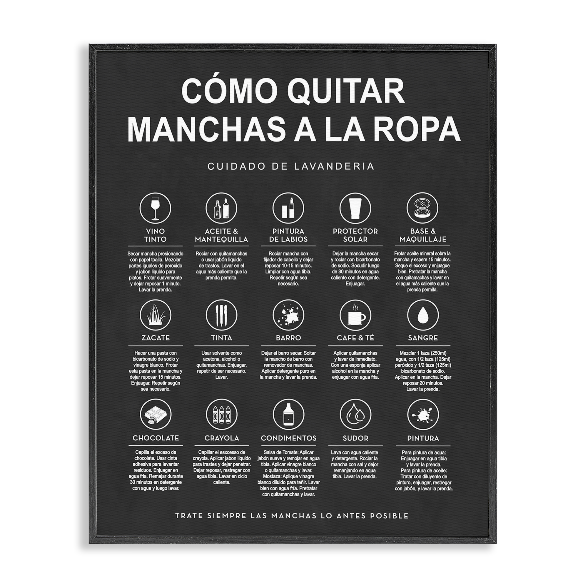 Stupell Industries Guía de Limpieza de Manchas, Negro Bath & Laundry Painting Black Framed Art Print Wall Art, 24 x 30