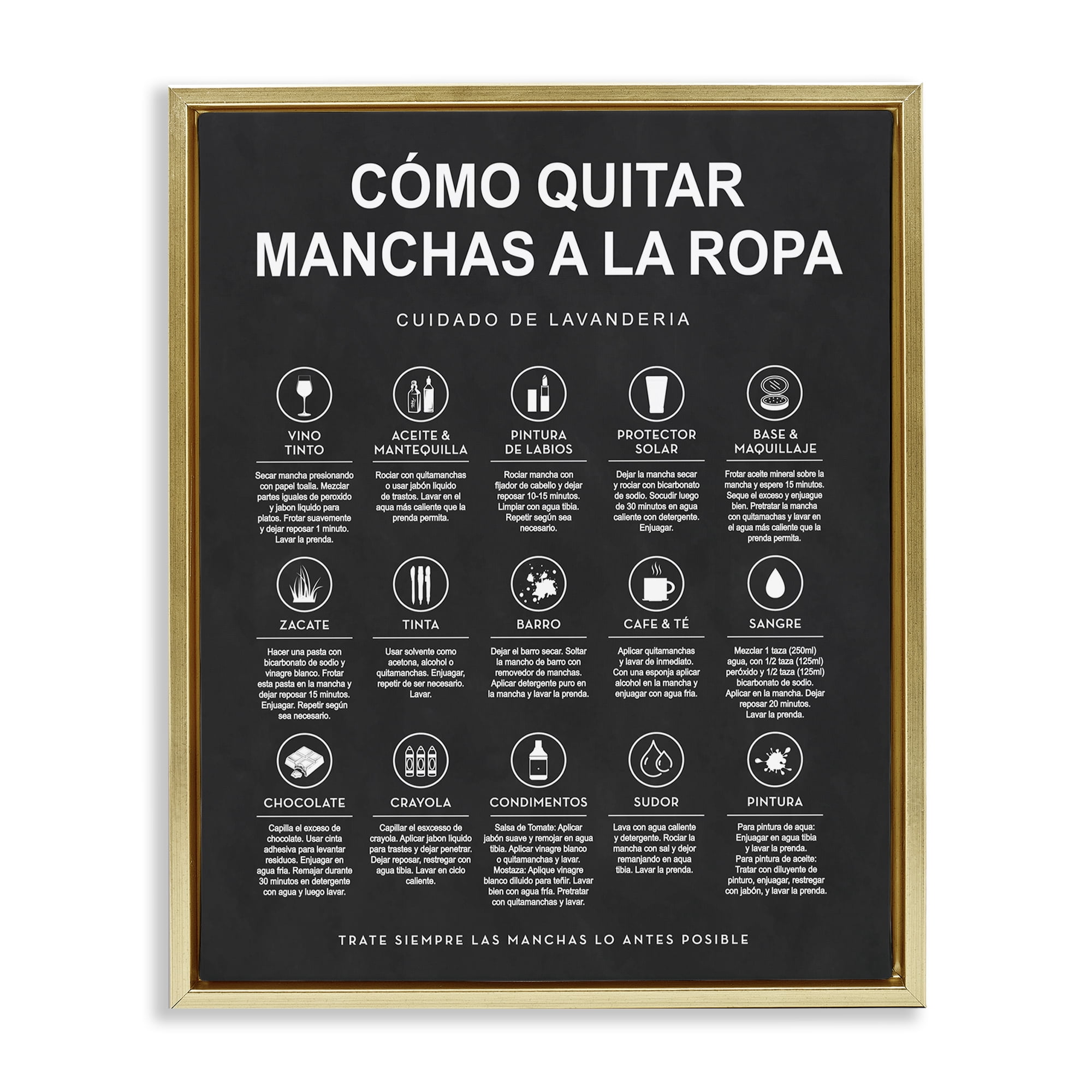 Stupell Industries Guía de Limpieza de Manchas, Negro Bath & Laundry Painting Gold Floater Framed Art Print Wall Art, 17 x 21