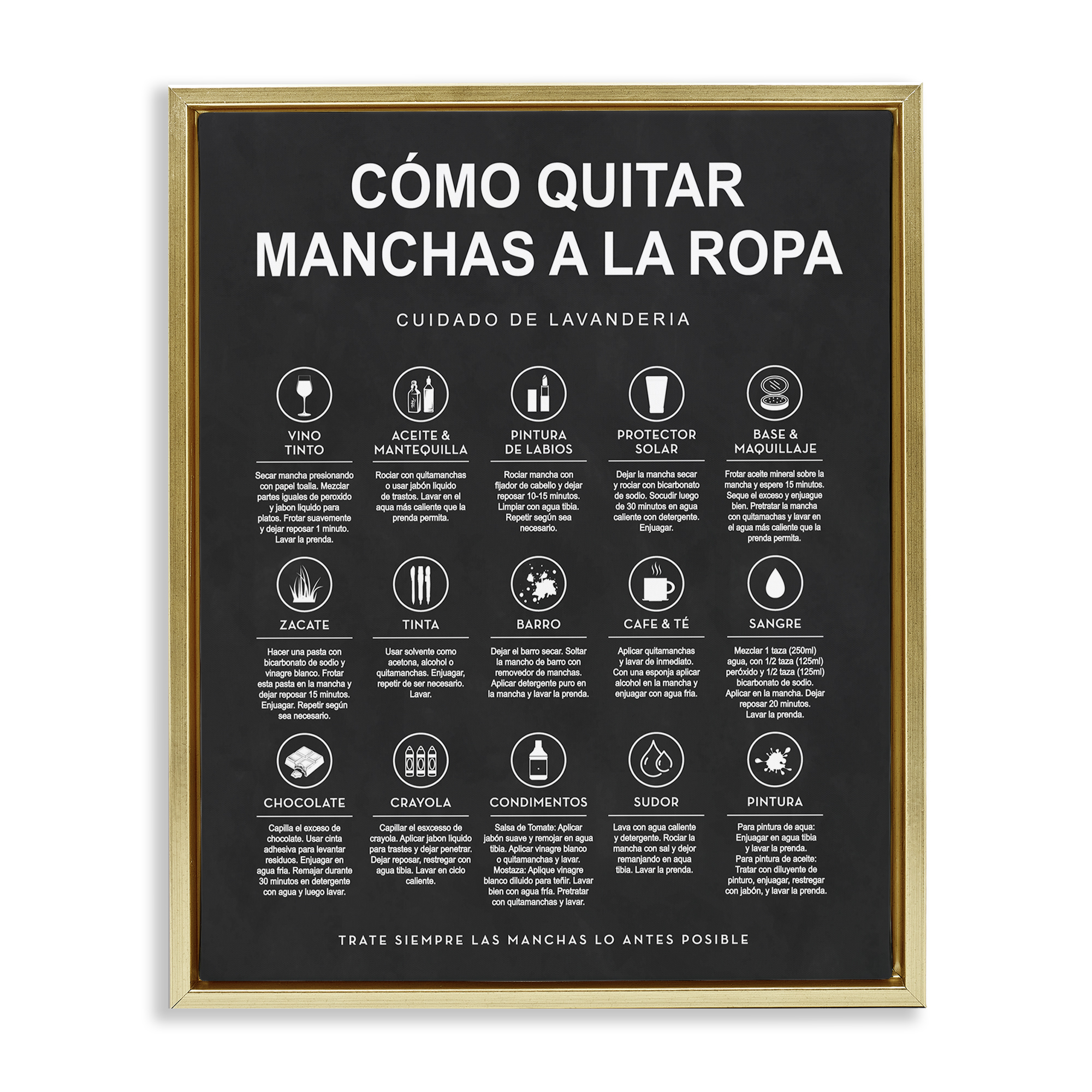 Stupell Industries Guía de Limpieza de Manchas, Negro Bath & Laundry Painting Gold Floater Framed Art Print Wall Art, 25 x 31