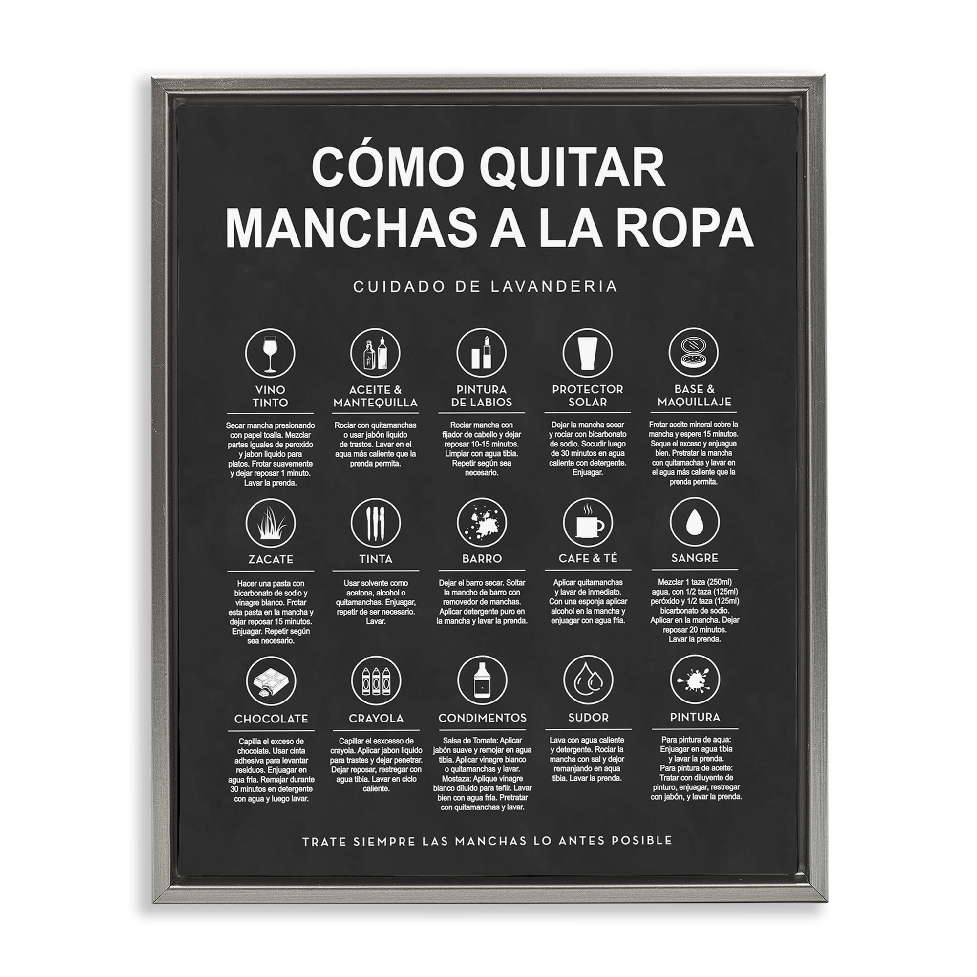 Stupell Industries Guía de Limpieza de Manchas, Negro Bath & Laundry Painting Gray Floater Framed Art Print Wall Art, 25 x 31