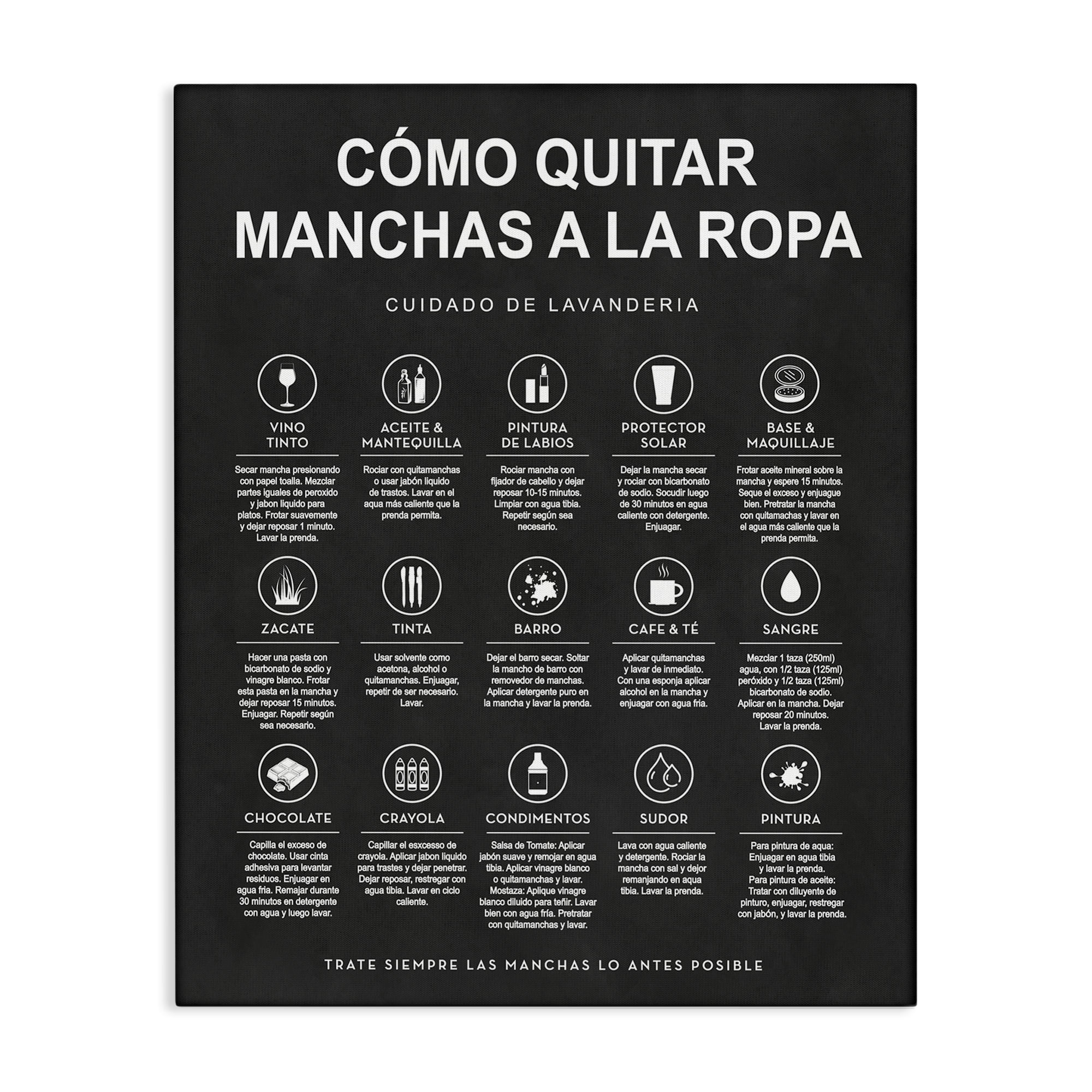 Stupell Industries Guía de Limpieza de Manchas, Negro Bath & Laundry Painting Wrapped Canvas Art Print Wall Art, 24 x 30