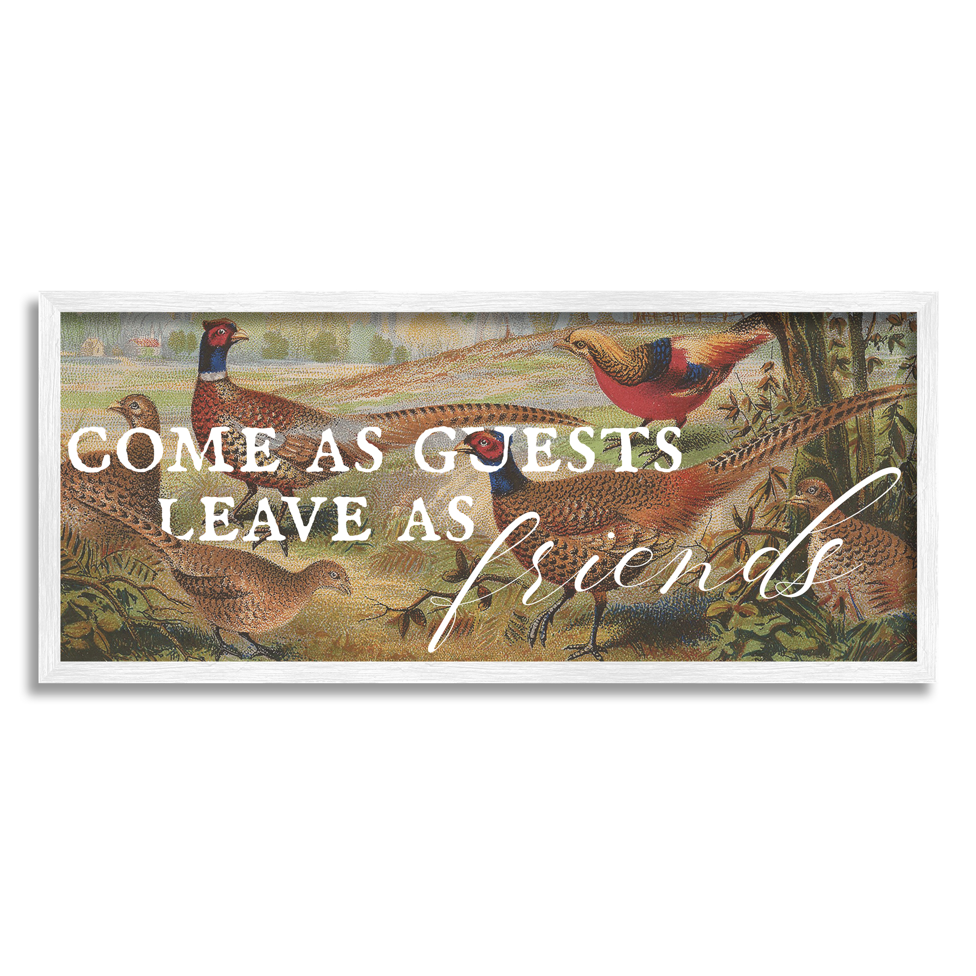 Stupell Industries Guests & Friends Landscape Animals & Insects Painting White Framed Art Print Wall Art, 24 x 10