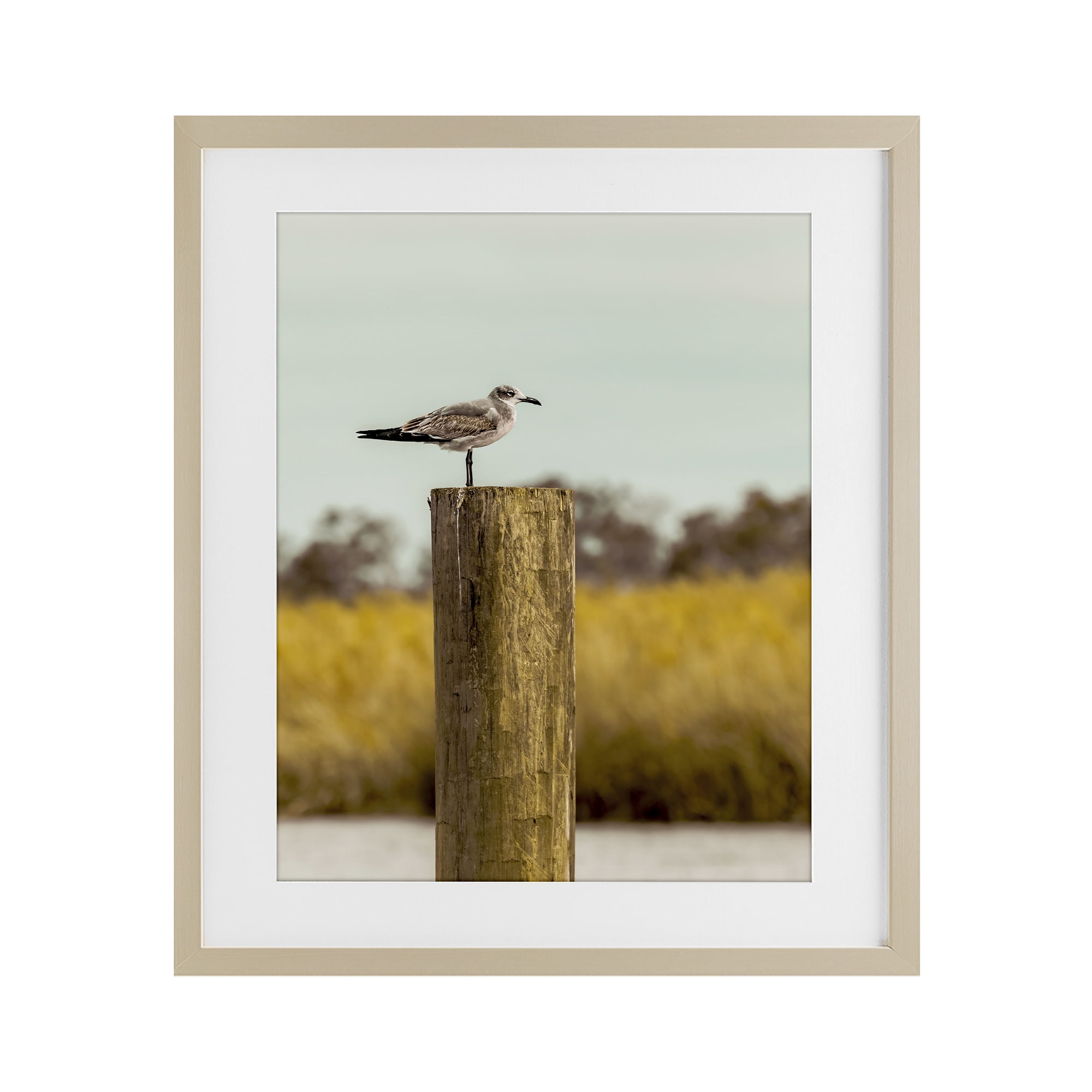 Stupell Industries Gull On Piling Birch Framed Print Under Glass, design by Christy Berry
