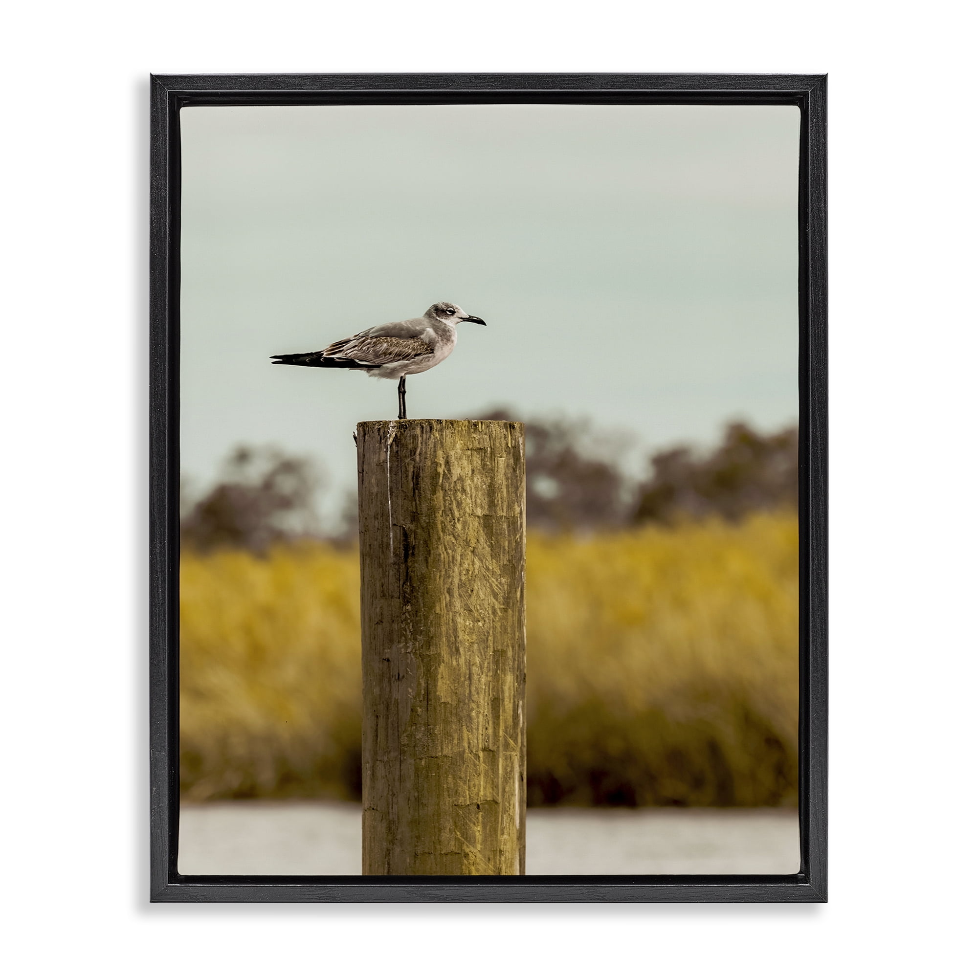 Stupell Industries Gull On Piling Black Framed Floater Canvas Wall Art, design by Christy Berry