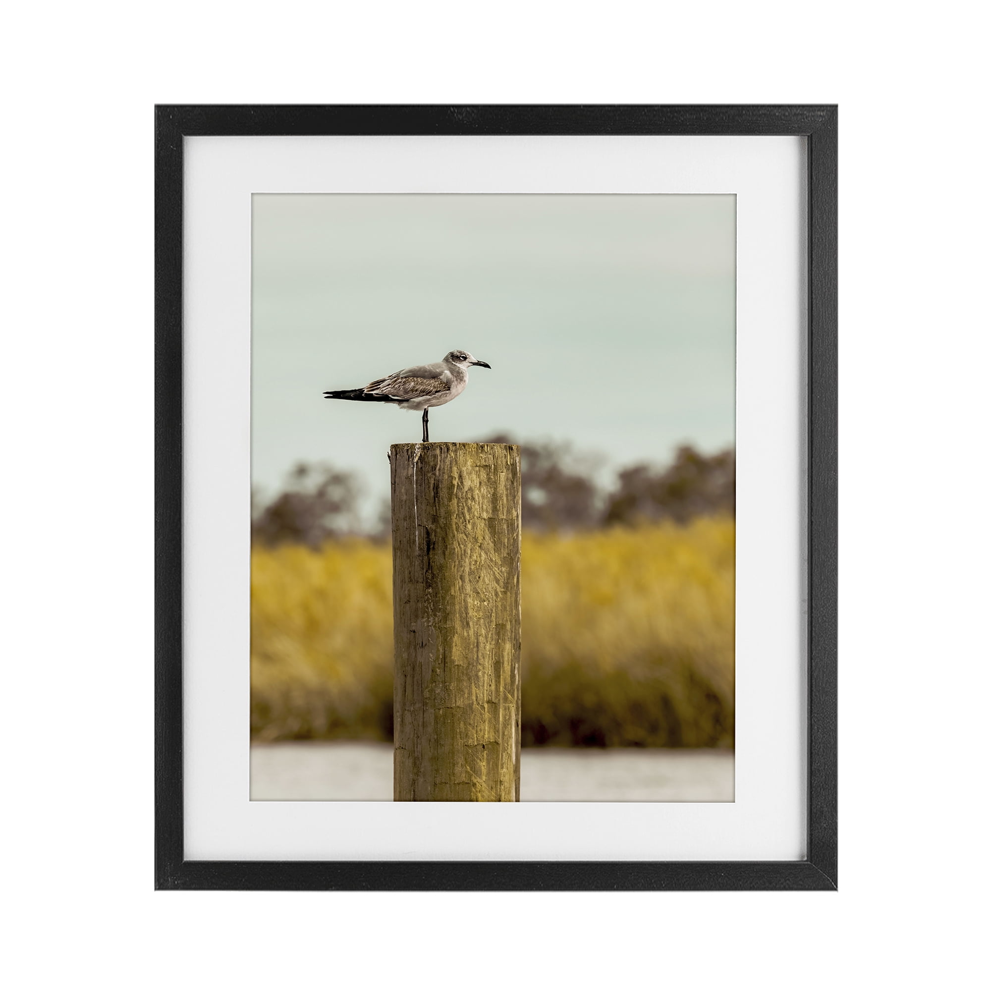 Stupell Industries Gull On Piling Black Framed Print Under Glass, design by Christy Berry